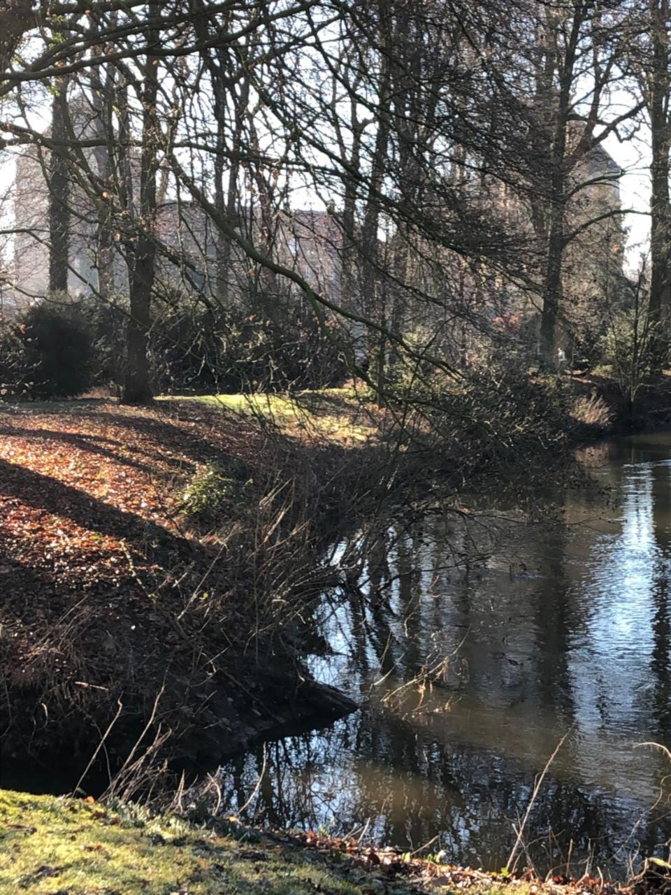 Koenig'S Hotel Am Schlosspark Rheda-Wiedenbrück Esterno foto